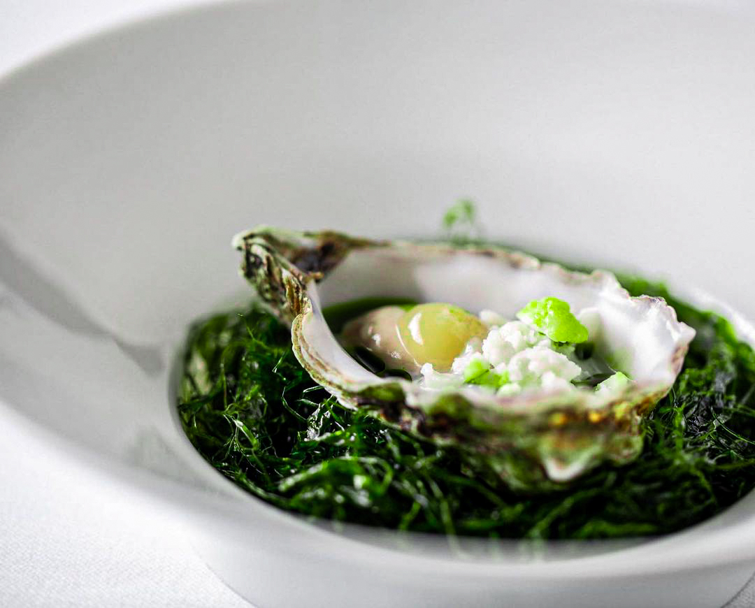 Oyster, Granny Smith & Dill